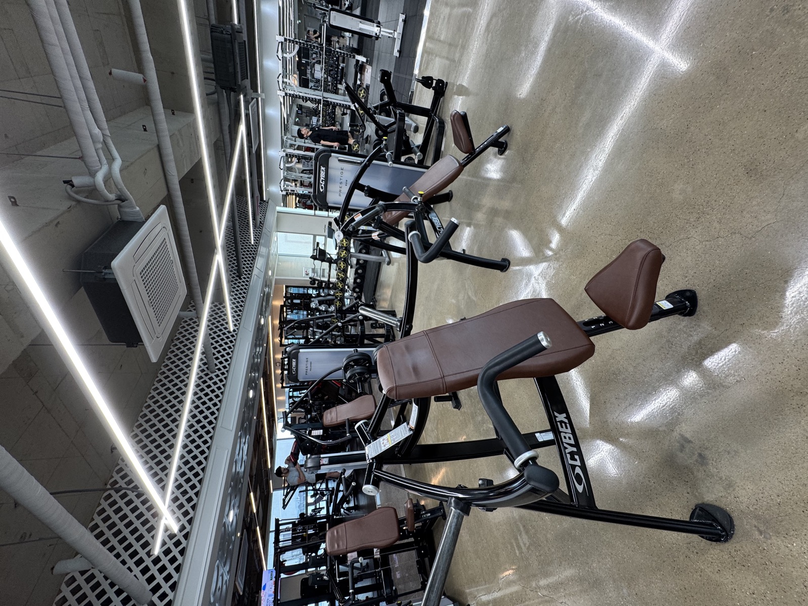 CYBEX 머신 라인