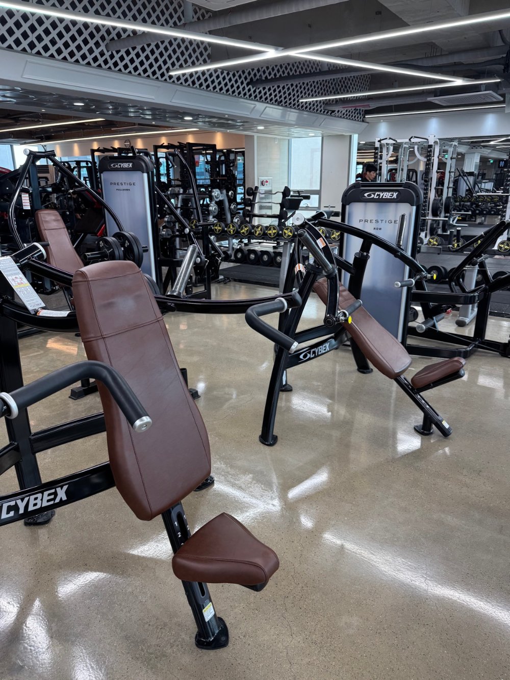 화이트존 대리석 바닥 CYBEX 머신 웨이트 구역